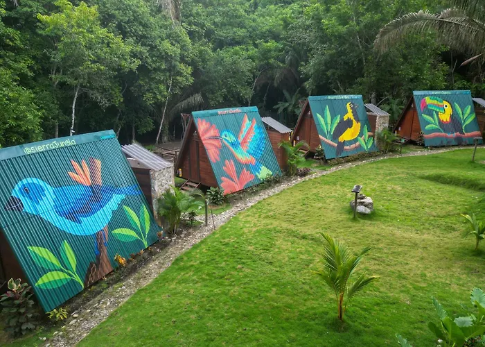 Sierra Jungla