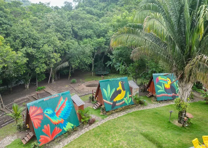 Sierra Jungla