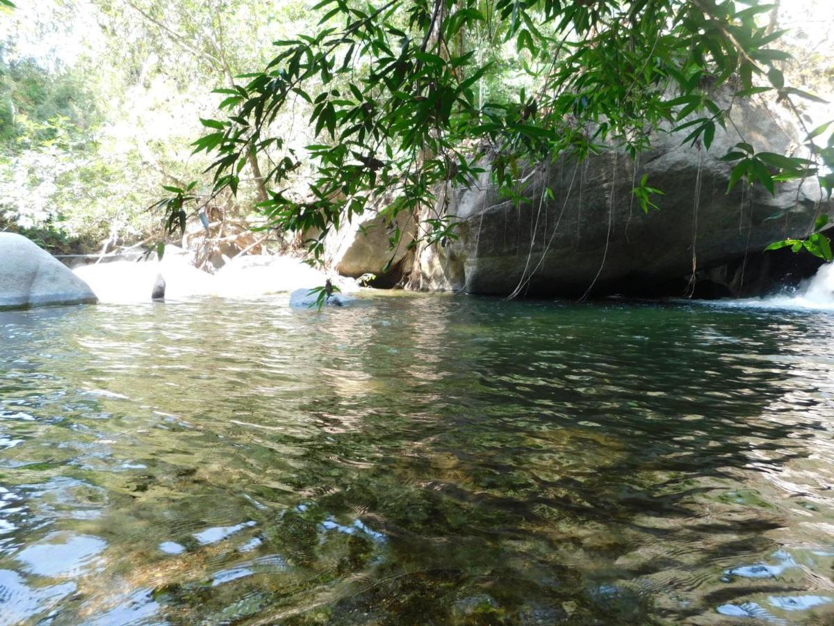 Sierra Jungla