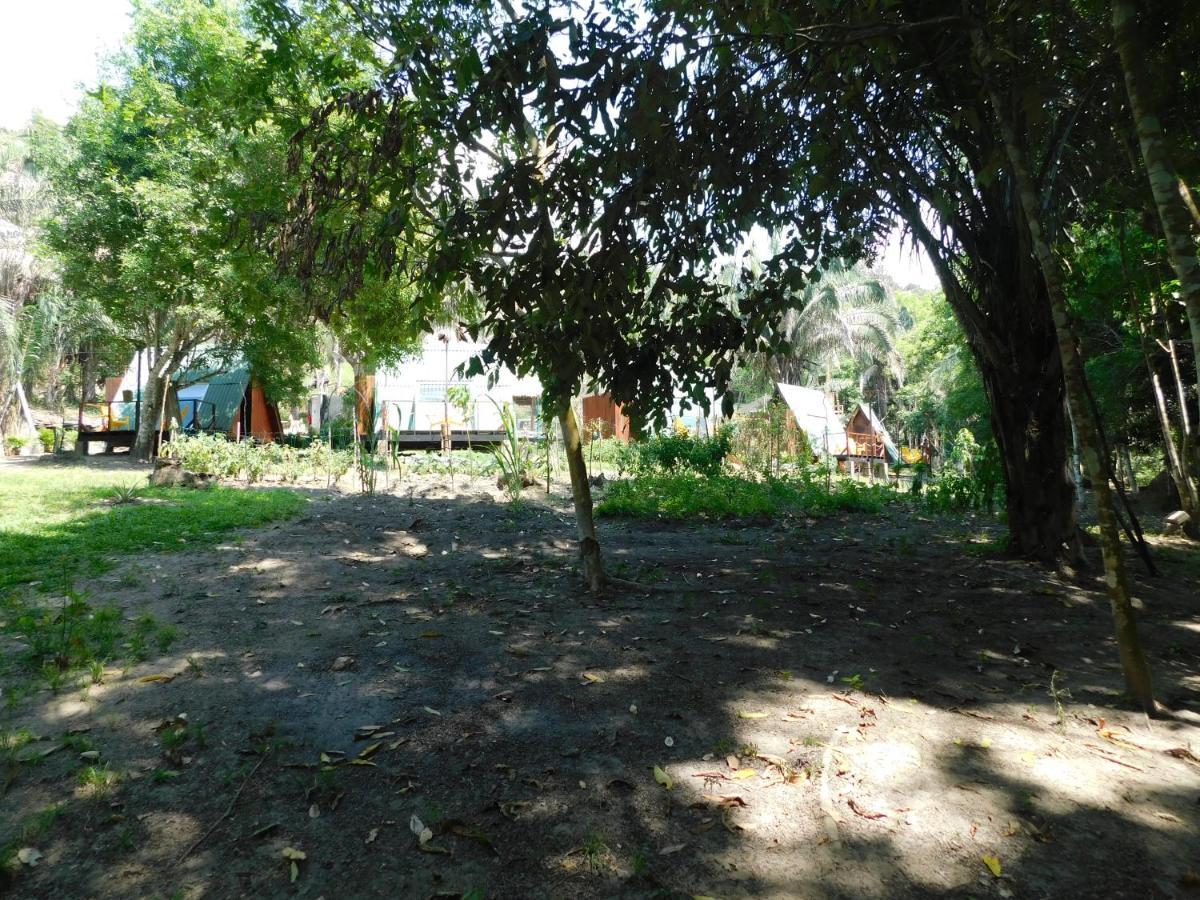 Sierra Jungla Minca