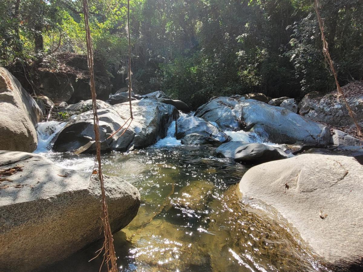 Campsite Sierra Jungla Minca
